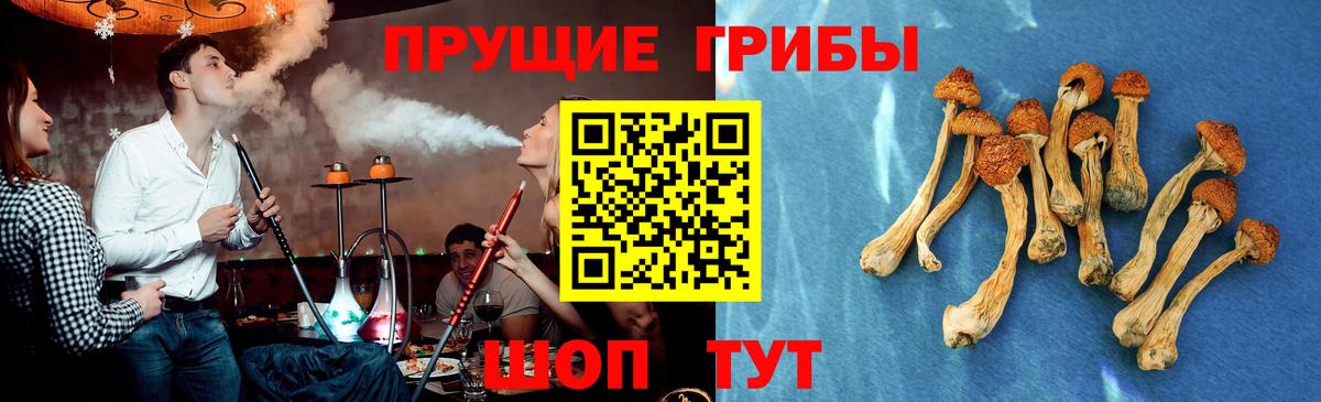 Прокопьевск  Псилоцибиновые грибы Magic Shrooms  Вход с VPN  Псилоцибиновые грибы мицелий 