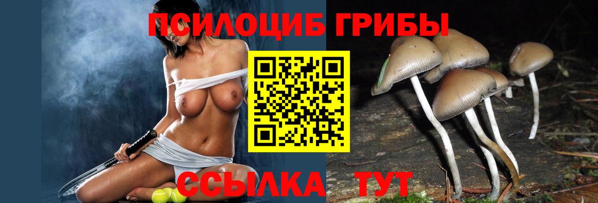 Галлюциногенные грибы мицелий Прокопьевск